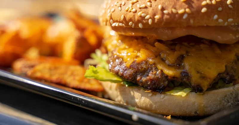 Pain burger sans psyllium : est-ce vraiment utile ?